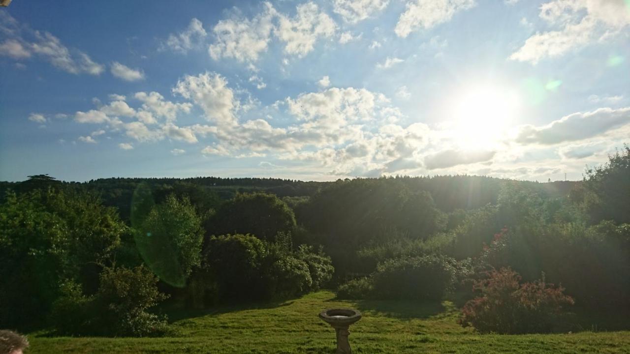 莱姆里吉斯Nettle Bank住宿加早餐旅馆 外观 照片