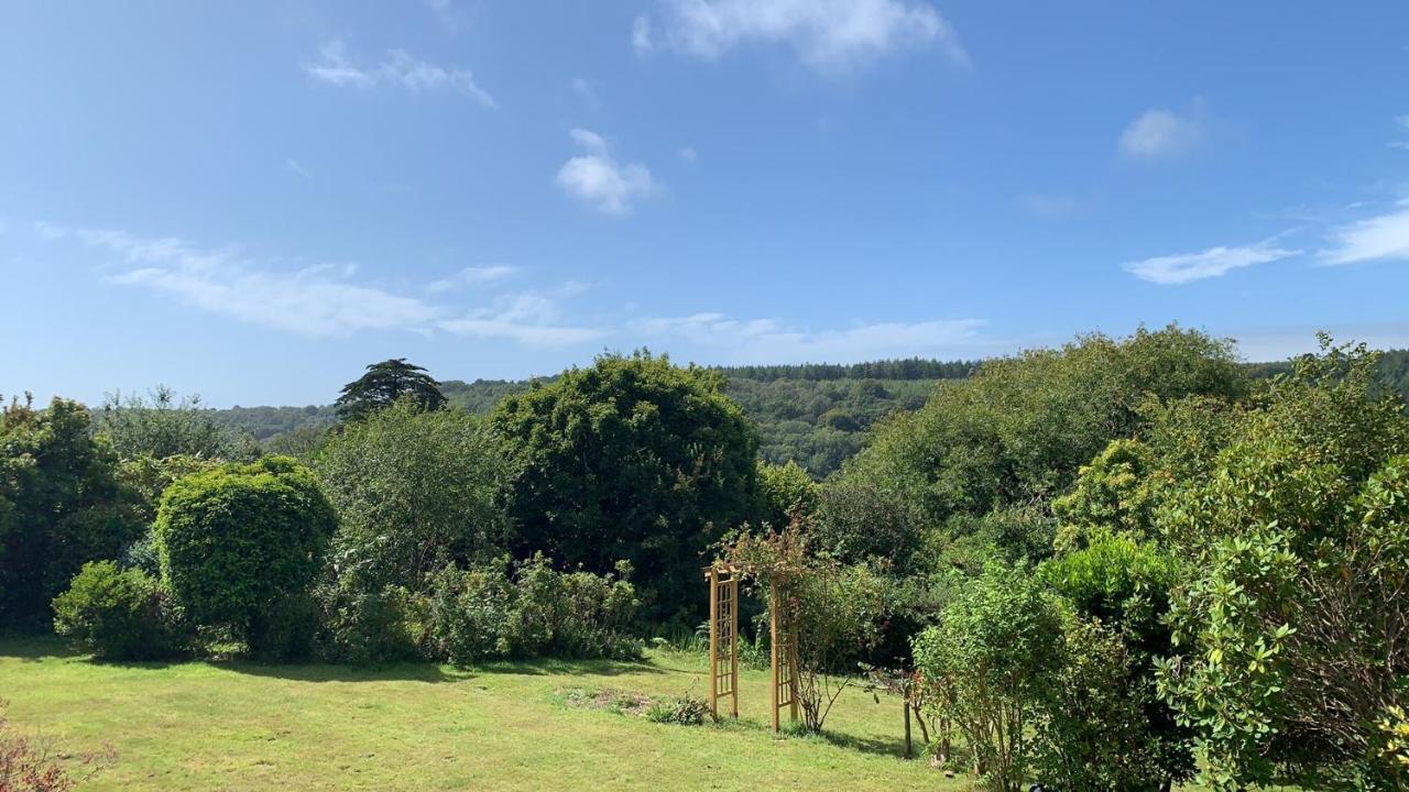 莱姆里吉斯Nettle Bank住宿加早餐旅馆 外观 照片